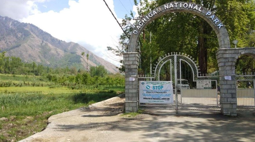 Dachigam National Park, Srinagar, Jammu and Kashmir - Vushii.com